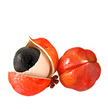 Guarana - składnik
