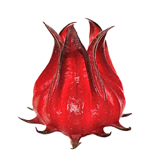 Hibiskus - składnik